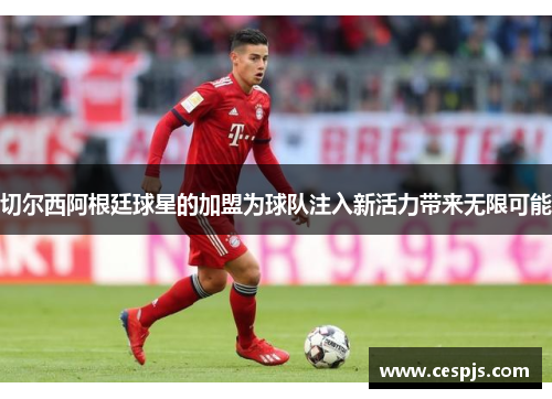切尔西阿根廷球星的加盟为球队注入新活力带来无限可能