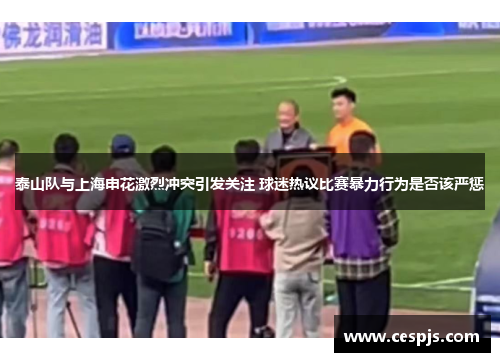 泰山队与上海申花激烈冲突引发关注 球迷热议比赛暴力行为是否该严惩