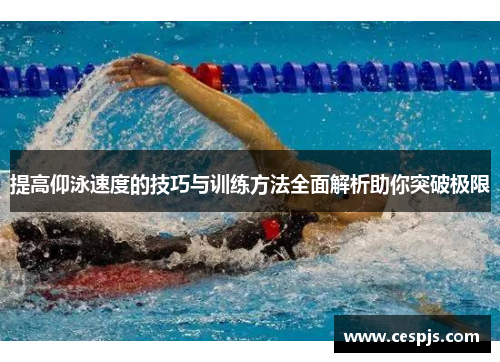 提高仰泳速度的技巧与训练方法全面解析助你突破极限