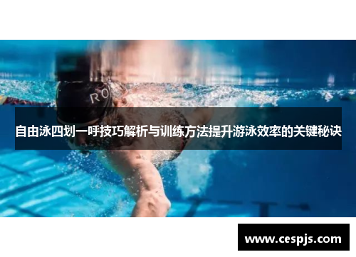 自由泳四划一呼技巧解析与训练方法提升游泳效率的关键秘诀