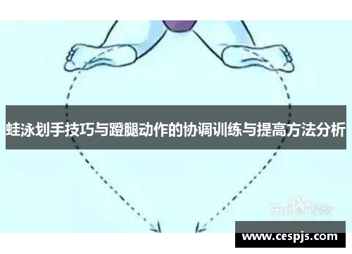 蛙泳划手技巧与蹬腿动作的协调训练与提高方法分析