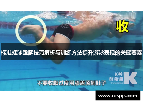 标准蛙泳蹬腿技巧解析与训练方法提升游泳表现的关键要素