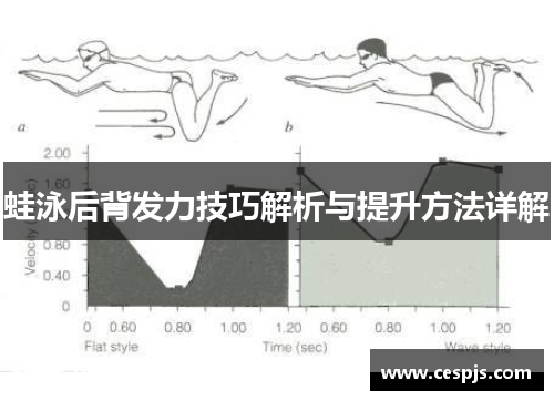 蛙泳后背发力技巧解析与提升方法详解