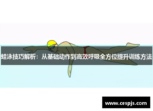 蛙泳技巧解析：从基础动作到高效呼吸全方位提升训练方法