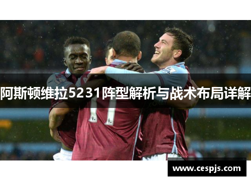 阿斯顿维拉5231阵型解析与战术布局详解